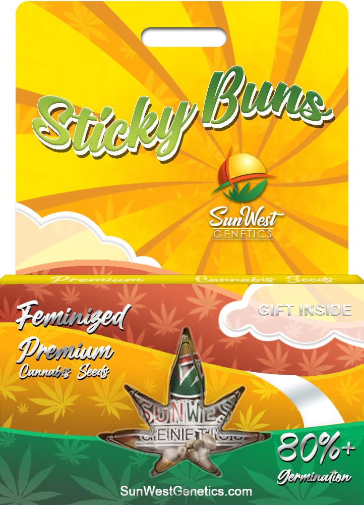 Sticky Buns seeds at Sunwest Genetics