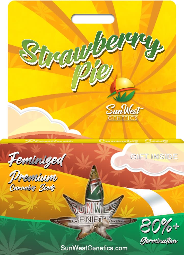 Strawberry Pie Feminized