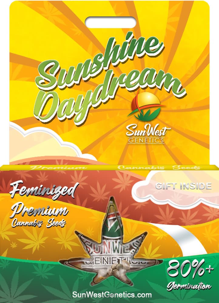 Sunshine Daydream seeds at Sunwest Genetics