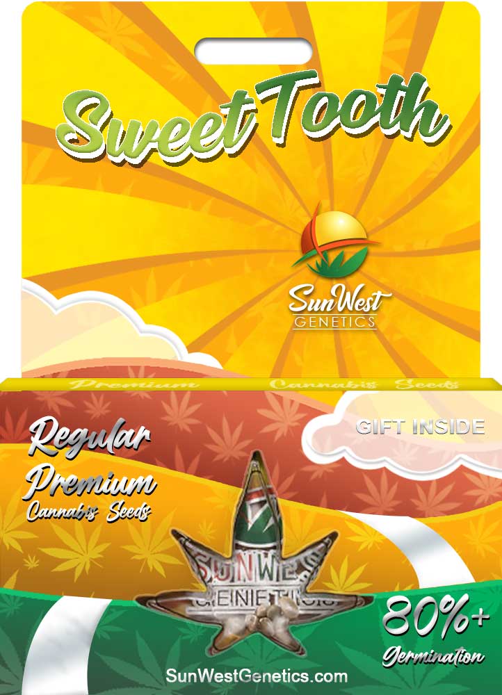 Sweet Tooth seeds at Sunwest Genetics
