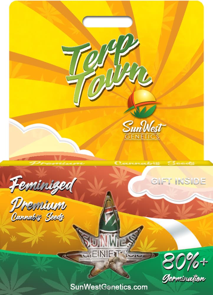 Terp Town seeds at Sunwest Genetics