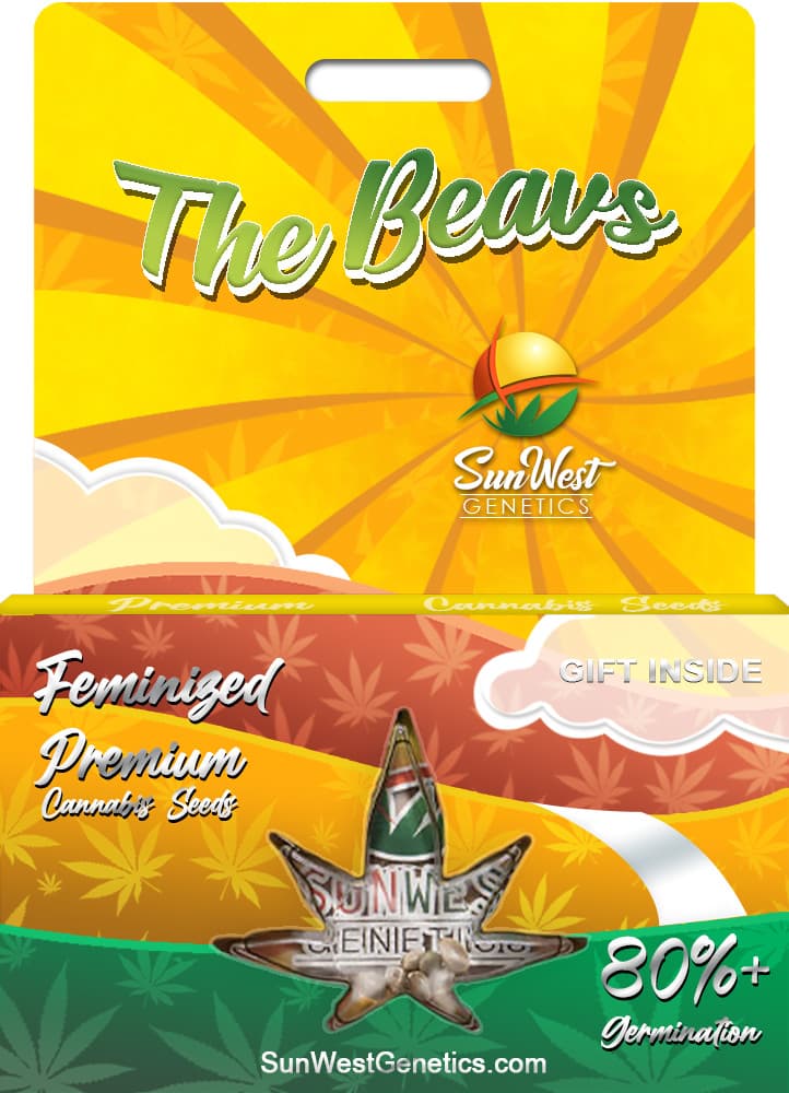 The Beav Feminized