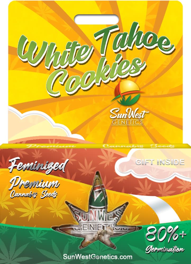 White Tahoe Cookies seeds at Sunwest Genetics