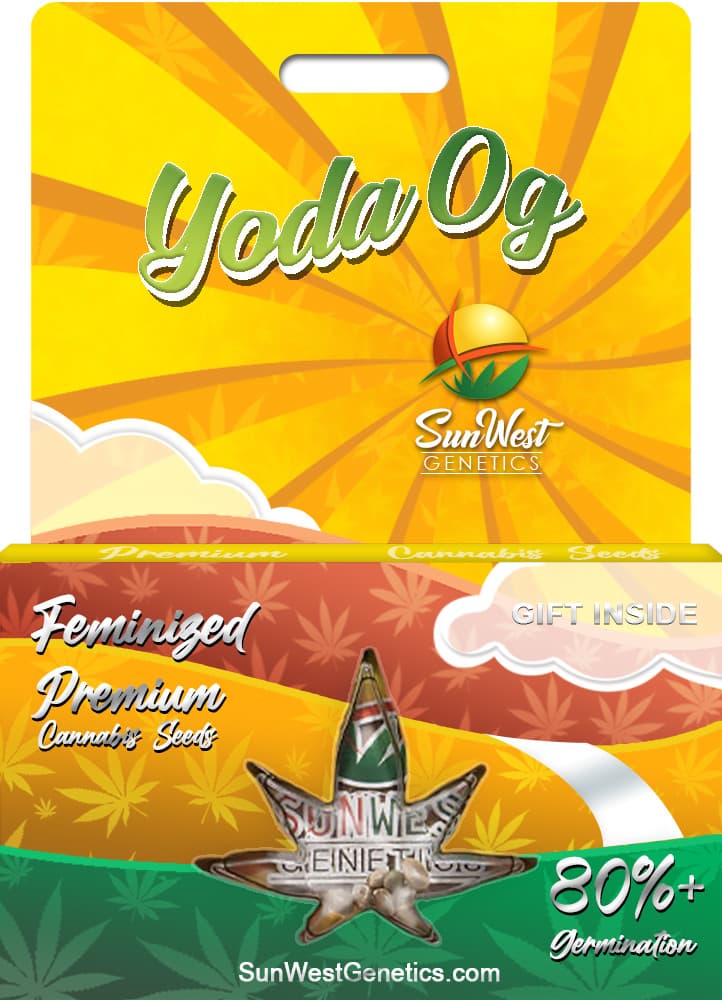 Yoda OG seeds at Sunwest Genetics