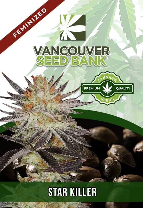 Star Killer Feminized