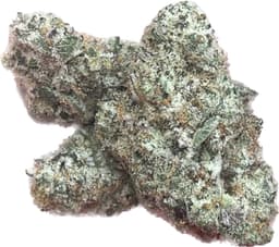 Cap Junky cannabis strain