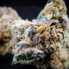 Cherry Thai cannabis strain