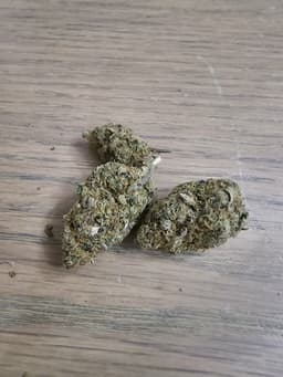 Frost Berry cannabis strain