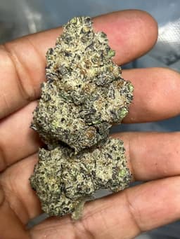 Gas Cake cannabis strain