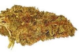 Mexican cannabis strain