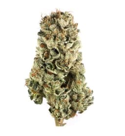 Moonshine Cookies cannabis strain