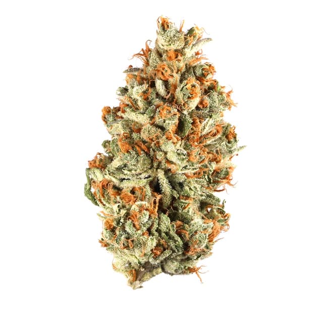 Orange Daiquiri - Hybrid Cannabis Strain