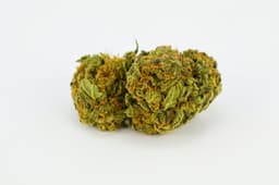Orange POTUS cannabis strain