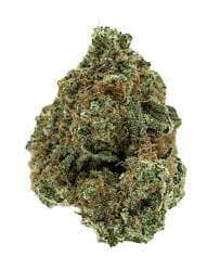 Oregon Raspberry cannabis strain