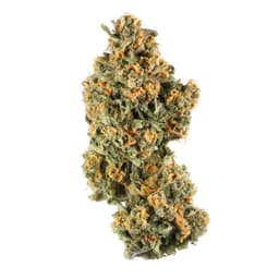 Oreo Cake cannabis strain