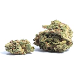Petroleum OG cannabis strain