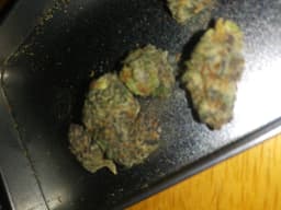 Pink Rozay cannabis strain