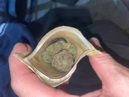 Pinkman Goo cannabis strain