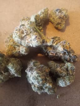 Platinum Kush Breath cannabis strain