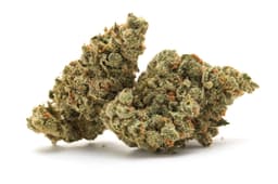 Platinum Puff cannabis strain
