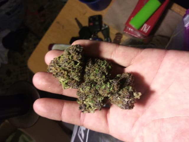 Purple Gorilla - Indica Cannabis Strain