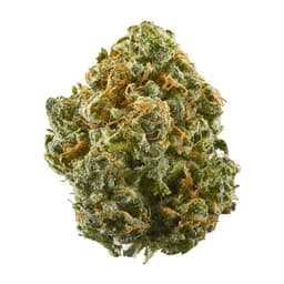 Purple Hulk cannabis strain