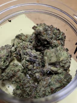Purple Jolly Rancher cannabis strain