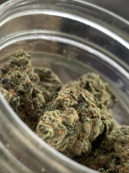 Purple Pineapple cannabis strain