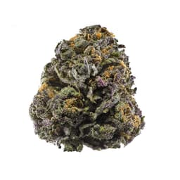 Purple Sticky Punch cannabis strain