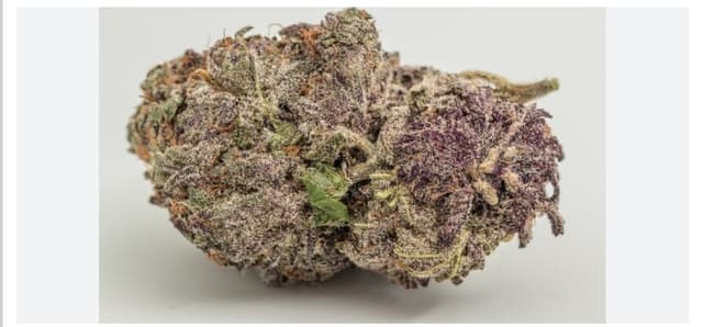 Purple Wookie - Indica Cannabis Strain