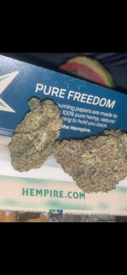 RS11 cannabis strain