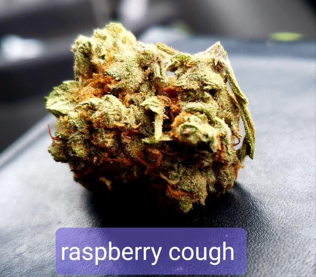Raspberry Cough - Hybrid Cannabis Strain