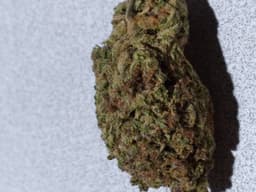 Rug Burn OG cannabis strain