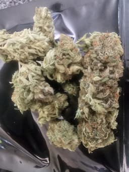 Runtz Muffin cannabis strain
