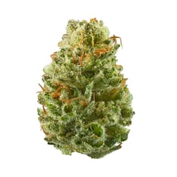 Santa Berry cannabis strain