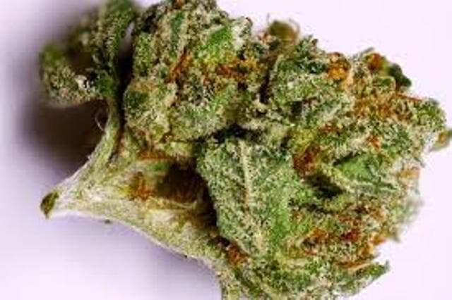 Saturn OG - Indica Cannabis Strain