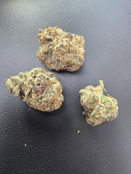 Secret Cookies cannabis strain
