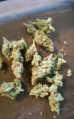 Skunkberry cannabis strain