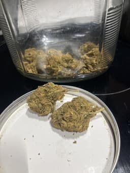 Sky Kush Cake cannabis strain