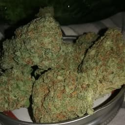 Sour Lemon OG cannabis strain