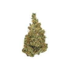 Sour Pink Grapefruit cannabis strain