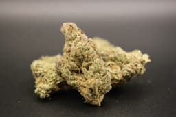 Space Juice cannabis strain