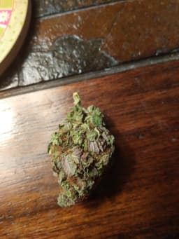 Strawberry Guava cannabis strain