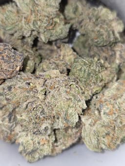 Strawberry Mango Haze cannabis strain