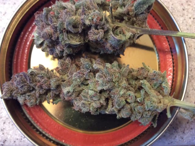 Sugar Plum - Hybrid Cannabis Strain