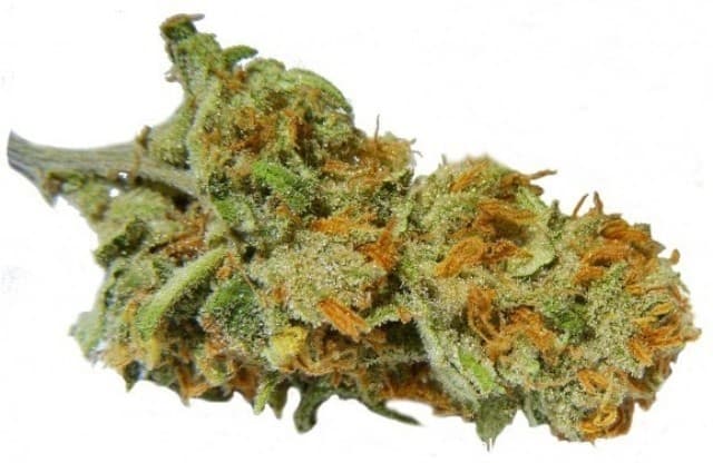 Sugar Punch - Hybrid Cannabis Strain