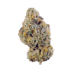 Sundae Cake cannabis strain