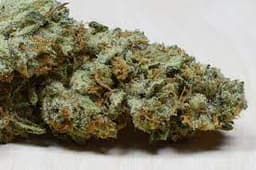 Super Hog cannabis strain