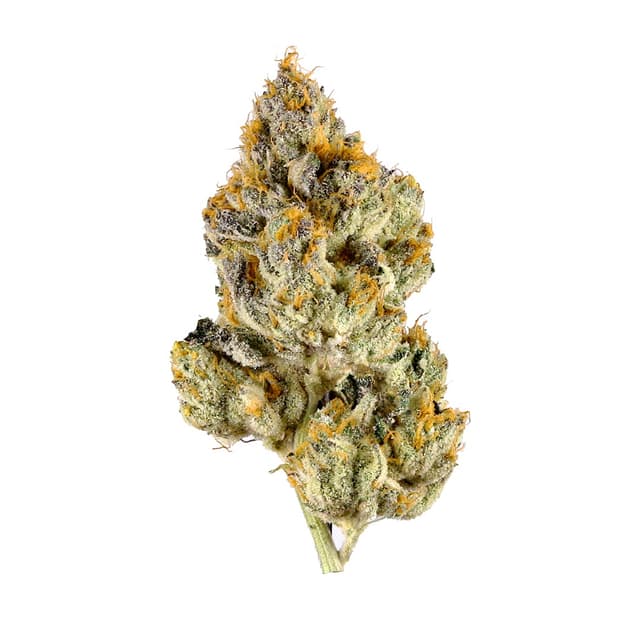 Super Jet Fuel - Hybrid Cannabis Strain