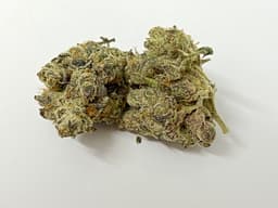 Sweeties cannabis strain